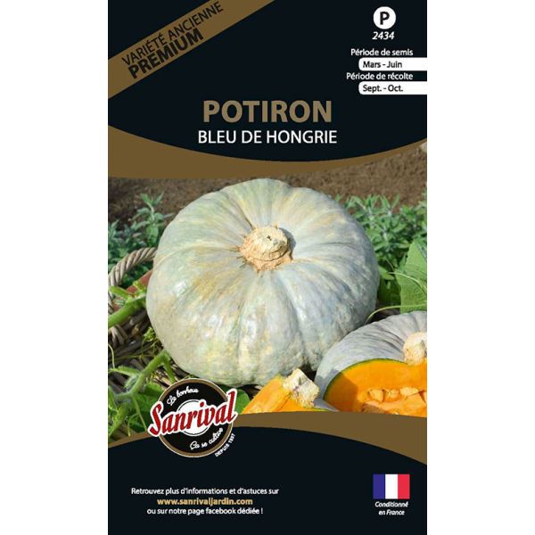 Graines potagères premium potiron