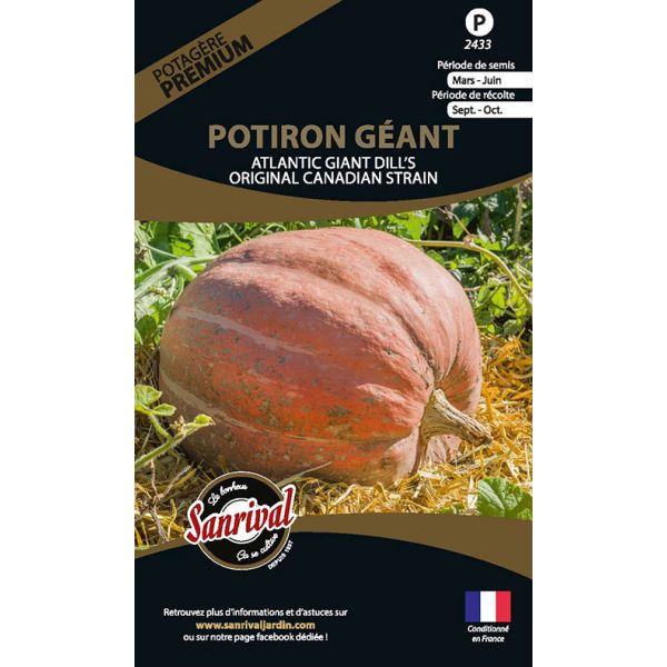 Graines potagères premium potiron