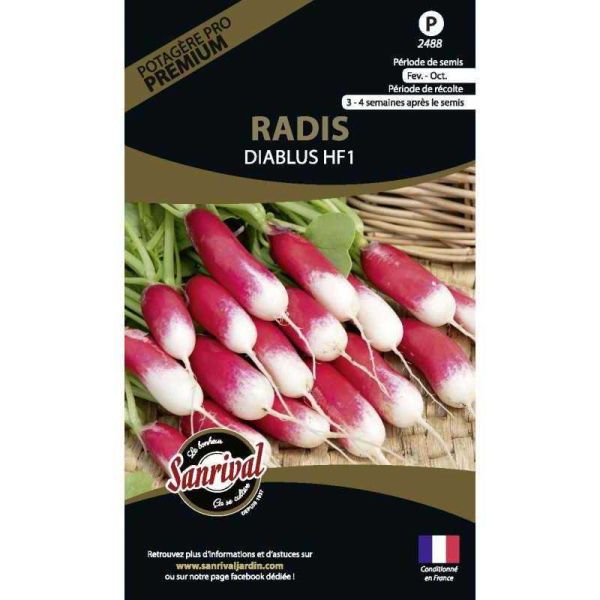 Graines potagères premium radis