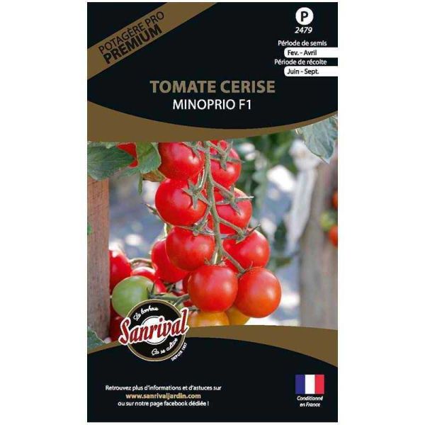 Graines potagères premium tomate