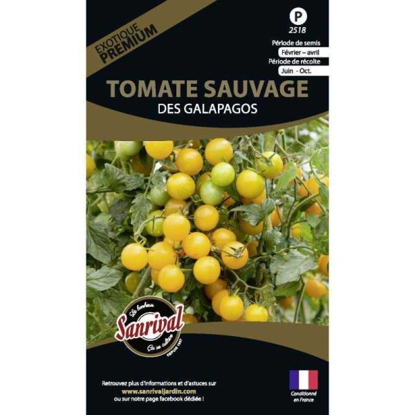 Graines potagères premium tomate