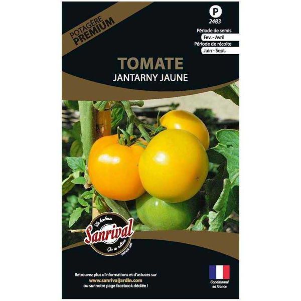 Graines potagères premium tomate