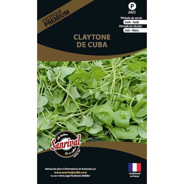 Graines potagères premium Claytone de Cuba