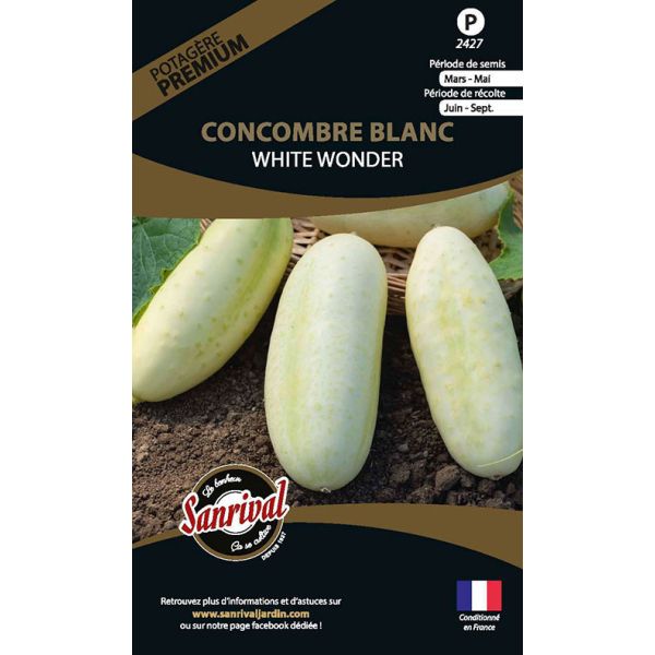 Graines potagères premium Concombre