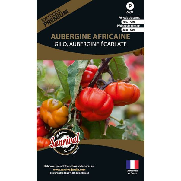 Graines potagères premium aubergine