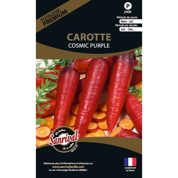 Graines potagères premium carotte