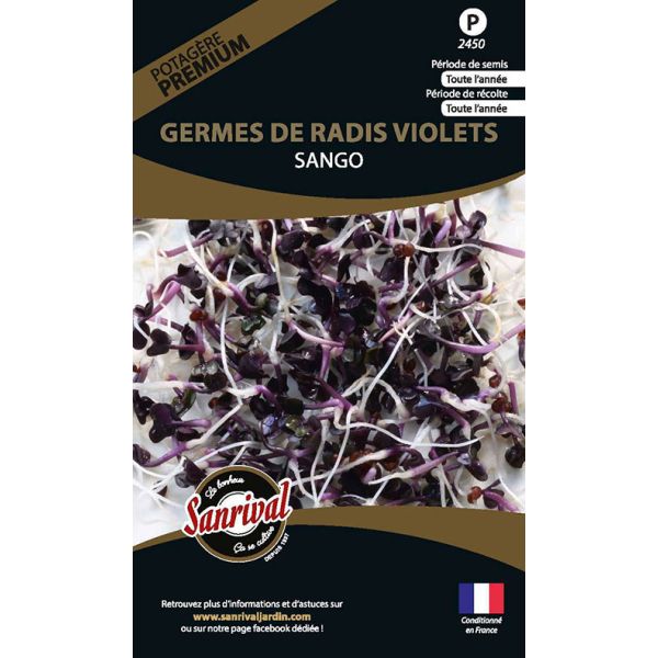 Graines potagères prenium germes de radis violets
