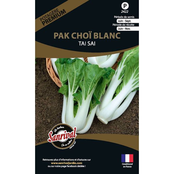 Graines potagères premium pak choï