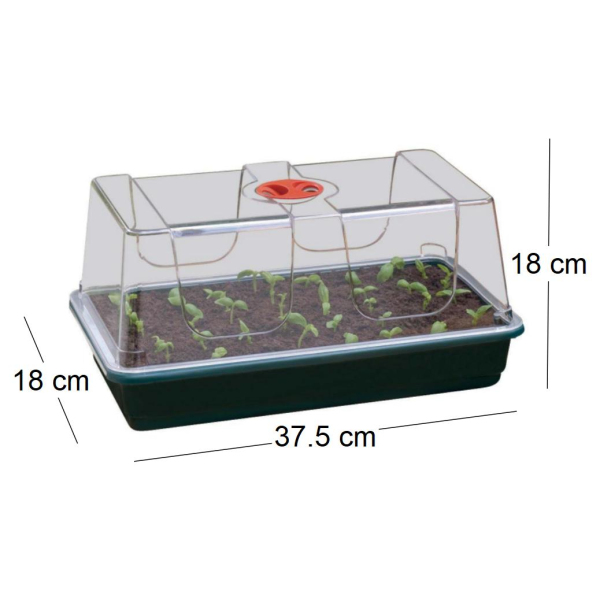 Grand plateau en plastique de semis - 14,90