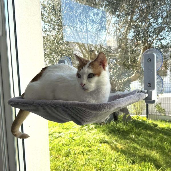 Hamac pour chat spécial fenêtre été hiver Rio - ZOLUX