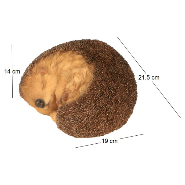 Hérisson dormant en résine 22 cm - 