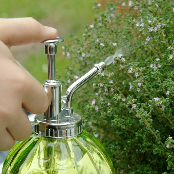 Humidificateur pour plantes en verre - 2,95
