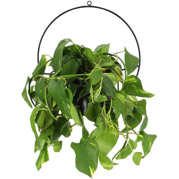Jardinière déco ronde d'intérieur en métal noir - ESS-1356