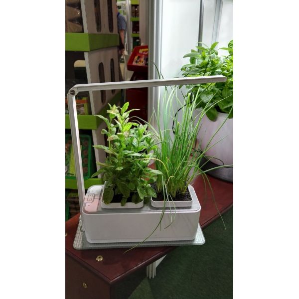 Jardinière avec lampe led intégrée Mini potager - 11