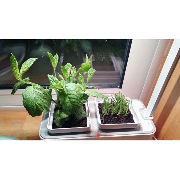 Jardinière avec lampe led intégrée Mini potager - 10
