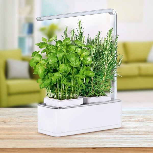 Jardinière avec lampe led intégrée Mini potager - 6