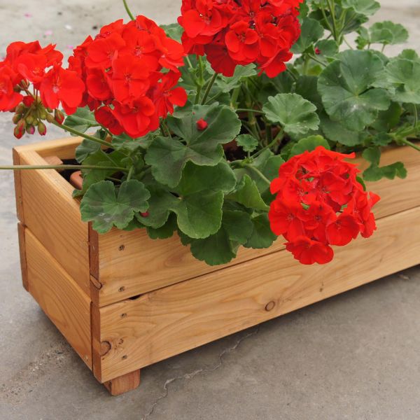 Jardinière en mélèze Moline 60 x 22 x 20 cm - ROBIN HOOD