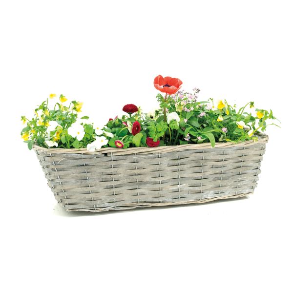 Jardinière en osier et bois - AUB-6618