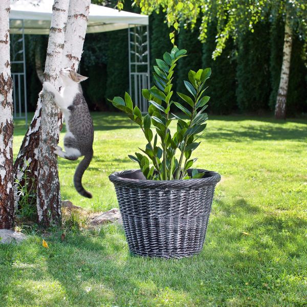 Jardinière en polyéthylène Bambus - ROTO