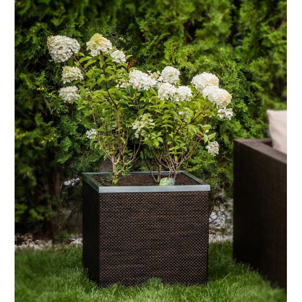 Jardinière en résine tressée avec réserve d'eau et cadre en aluminium 50 x 50 x 43 cm - 8