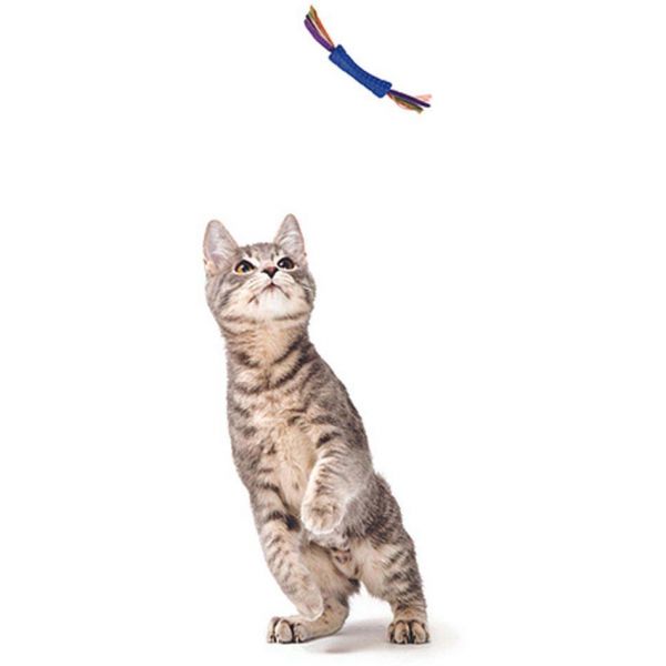 Jouet chat Stick coloré plume double - CMP-1580