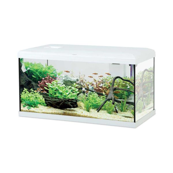 Kit aquarium eau douce avec éclairage et filtres Initio 54 litres - ZOLUX