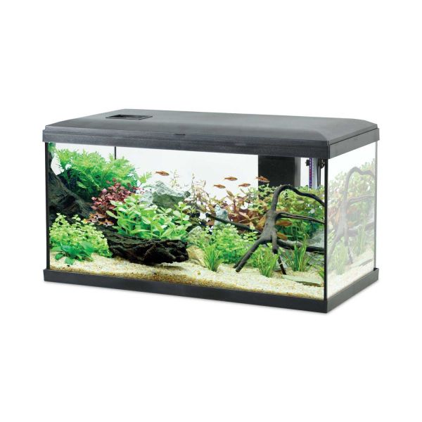 Kit aquarium eau douce avec éclairage et filtres Initio 54 litres - ZOLUX