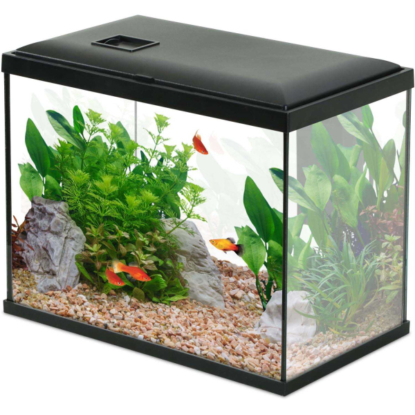Kit aquarium 18 litres Initio 35 - 7