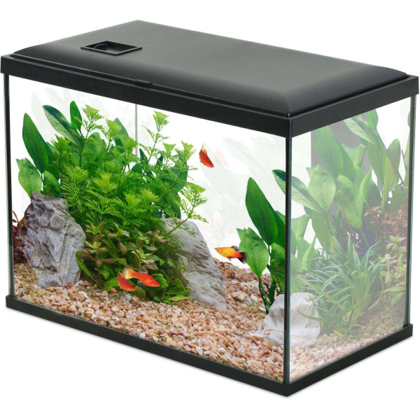 Kit aquarium 24 litres Initio 40 - 7