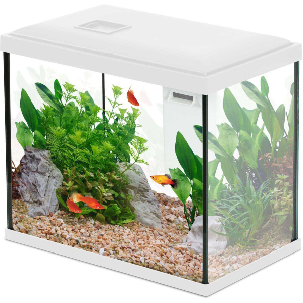 Kit aquarium 13 litres Initio 30 - ZOL-2535