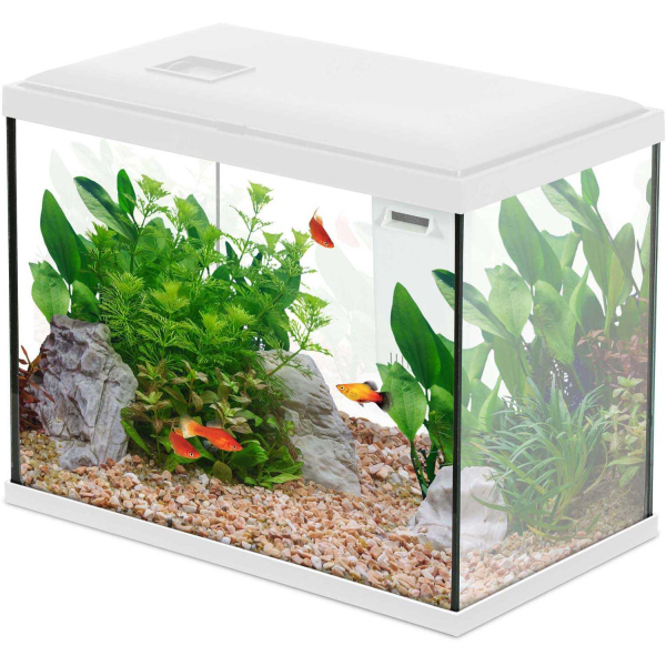 Kit aquarium 18 litres Initio 35 - 59,90