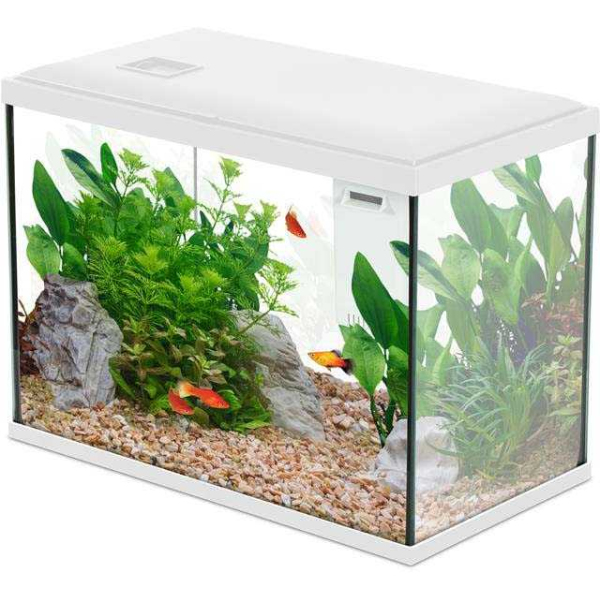 Kit aquarium 24 litres Initio 40 - 64,90