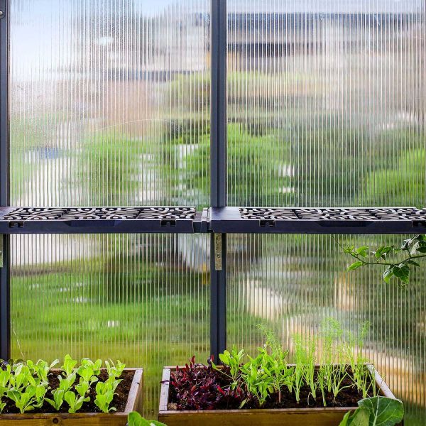 Kit d'étagère originale en polypropylène pour serre de jardin - 5