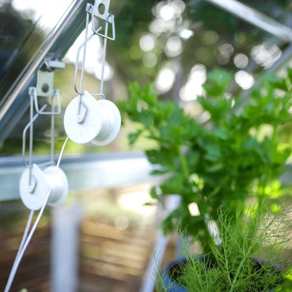 Kit de palissage pour serre de jardin - Canopia by Palram