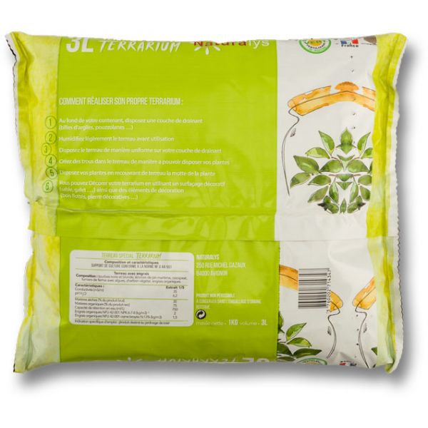 Kit terrarium plantes Bonbonne - 5