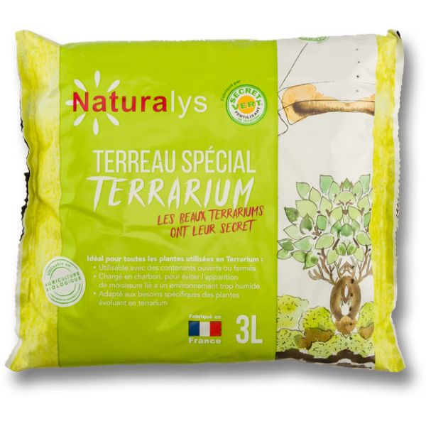 Kit terrarium plantes Bonbonne mix - 75,90