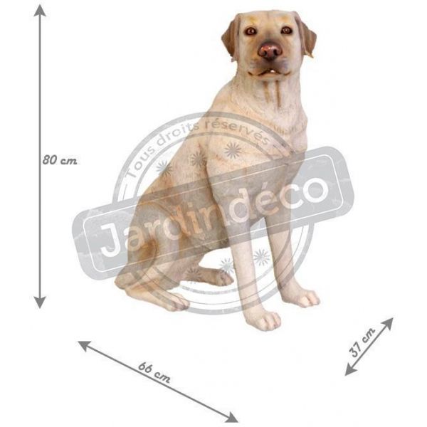 Labrador assis en résine 80 cm - TEXARTES