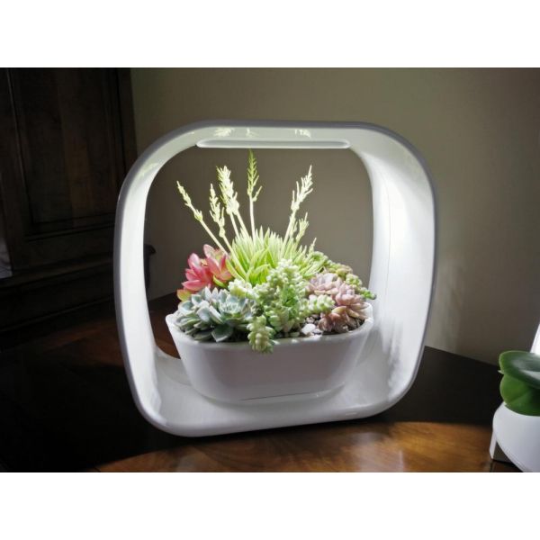 Lampe LED ludique avec jardinière intégrée - 74,90