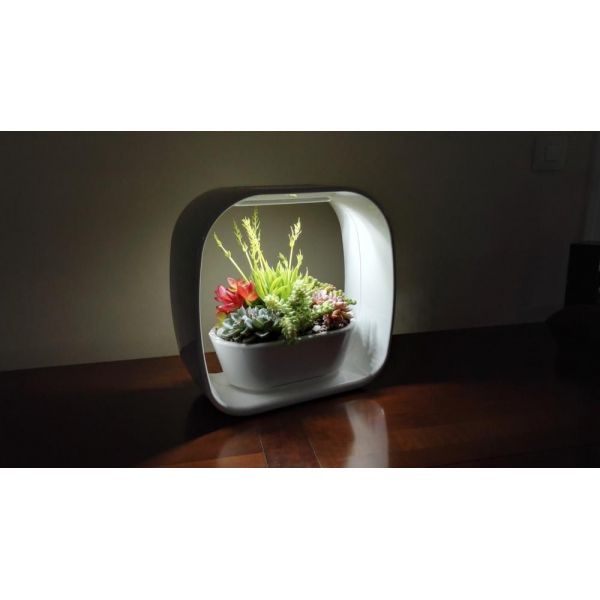 Lampe LED ludique avec jardinière intégrée - 5