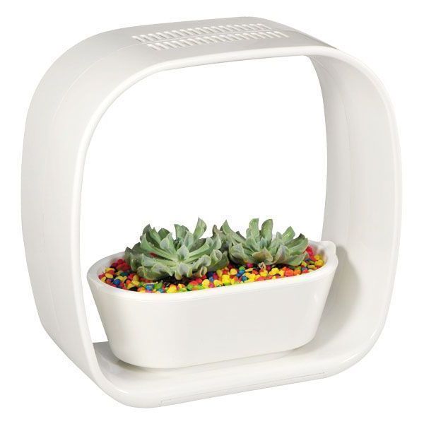 Lampe LED ludique avec jardinière intégrée