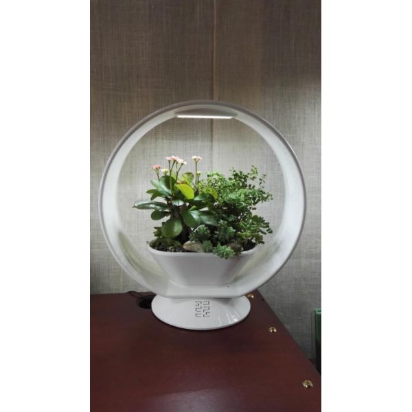 Lampe LED ludique avec jardinière intégrée et enceinte bluetooth - SKY-0108