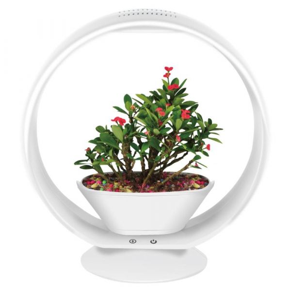 Lampe LED ludique avec jardinière intégrée et enceinte bluetooth - 84,90