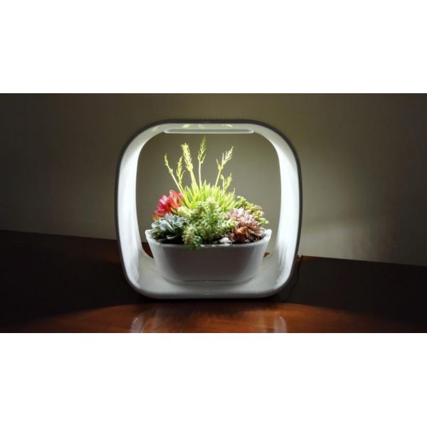 Lampe LED ludique avec jardinière intégrée - JARDINICE