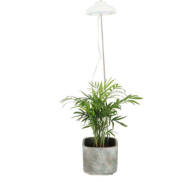 Lampe de croissance pour plantes ampoule led - 17,90