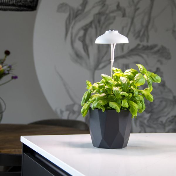 Lampe de croissance pour plantes ampoule led - ESSCHERTS GARDEN