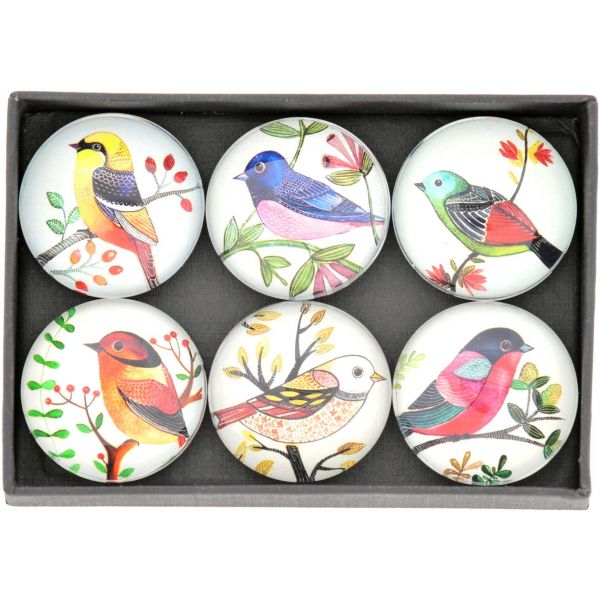 Magnet oiseaux colorés (Lot de 6)