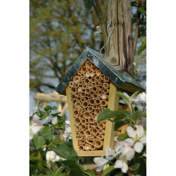 Maison pour abeilles - BEST FOR BIRDS