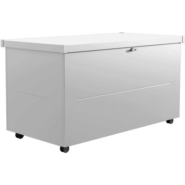 Malle de rangement en acier gris clair Nevio - TELLURIA