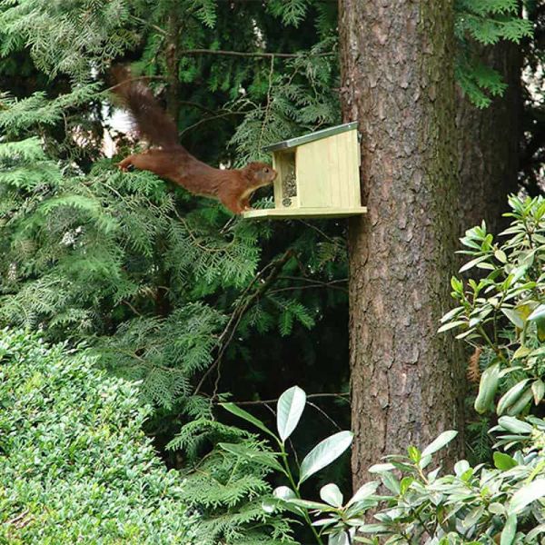 Mangeoire ecureuil en bois et zinc