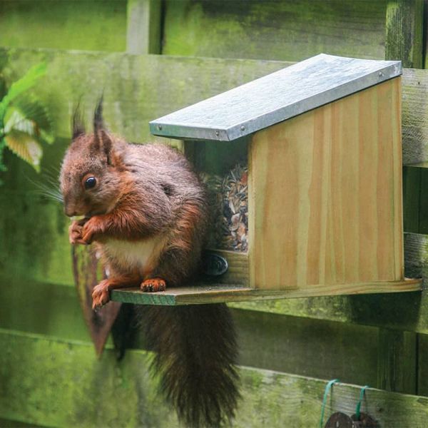 Mangeoire ecureuil en bois et zinc - BEST FOR BIRDS